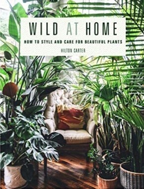 Wild At Home. How To Style And Care For Beautiful Plants