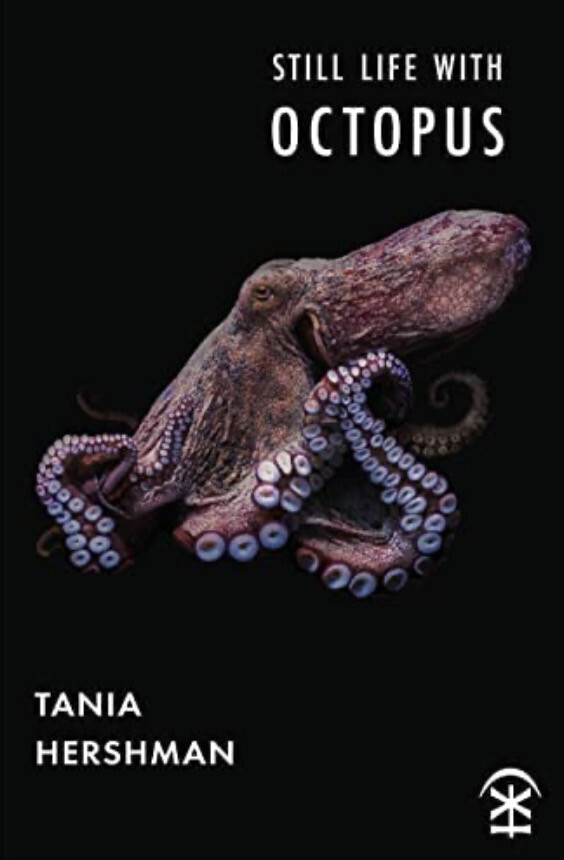 Still Life With Octopus