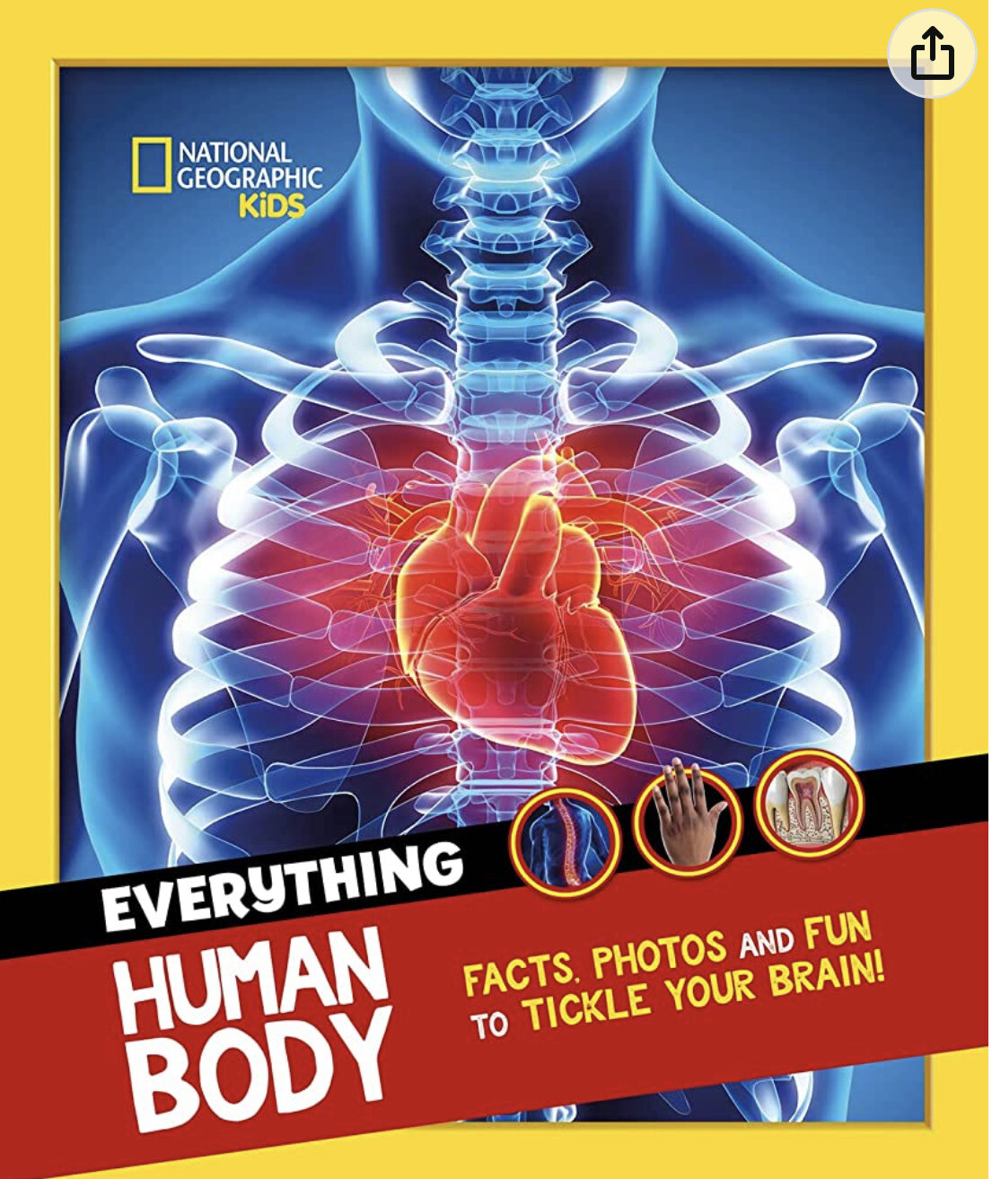 National Geographic Kids. Everything Human Body
