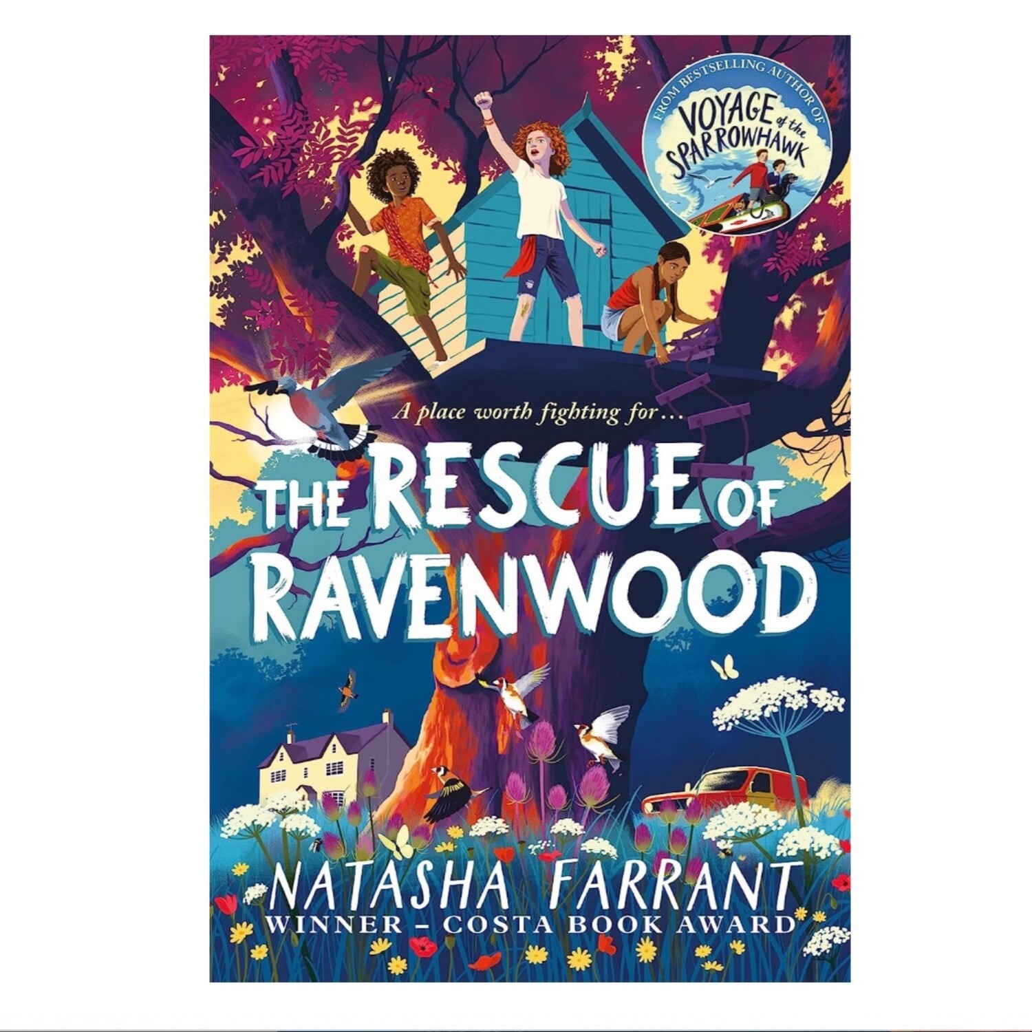 The Rescue of Ravenwood