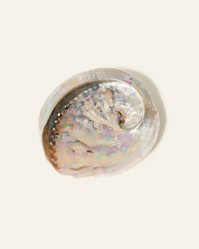 Concha Abalone