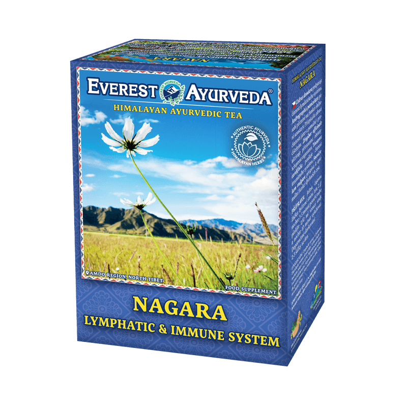 Nagara - Infusão Ayurvédica Sistema linfático & Imunidade