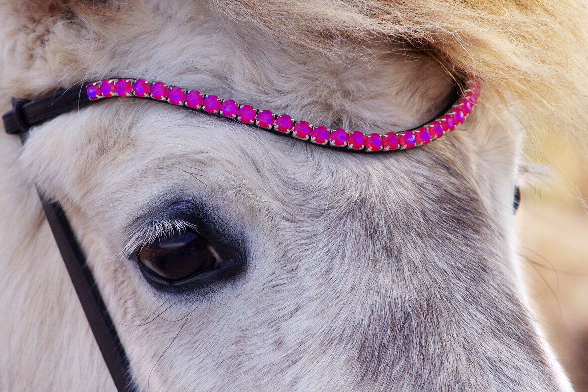 "GLIMMER" - browband with beautiful rhinestones