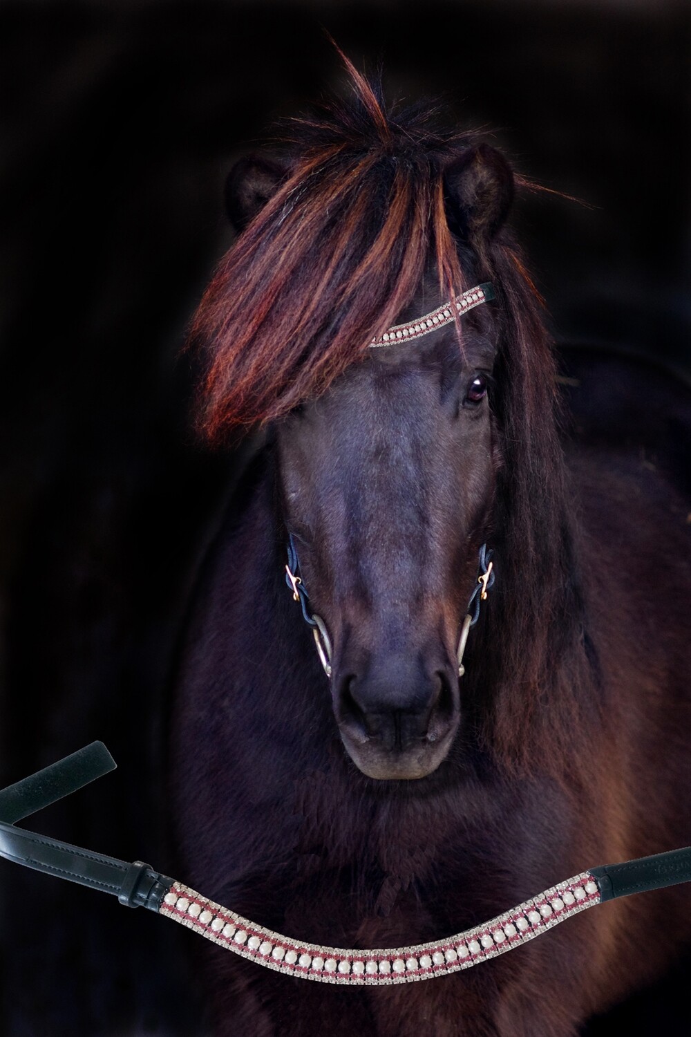 &quot;GLIMMER&quot; - browband with beautiful rhinestones