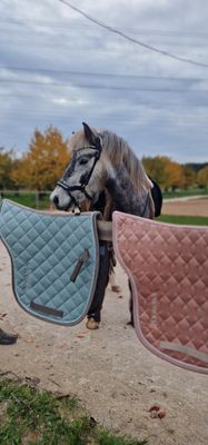 SKÍNA - Satteldecke mit Glamour &amp; Schick!