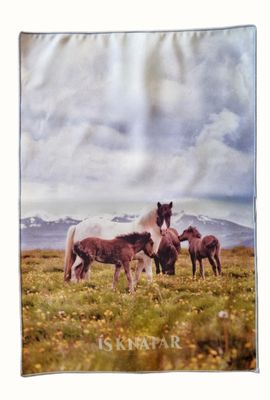 HREINT Microfaser Reinigungstuch bedruckt varriert