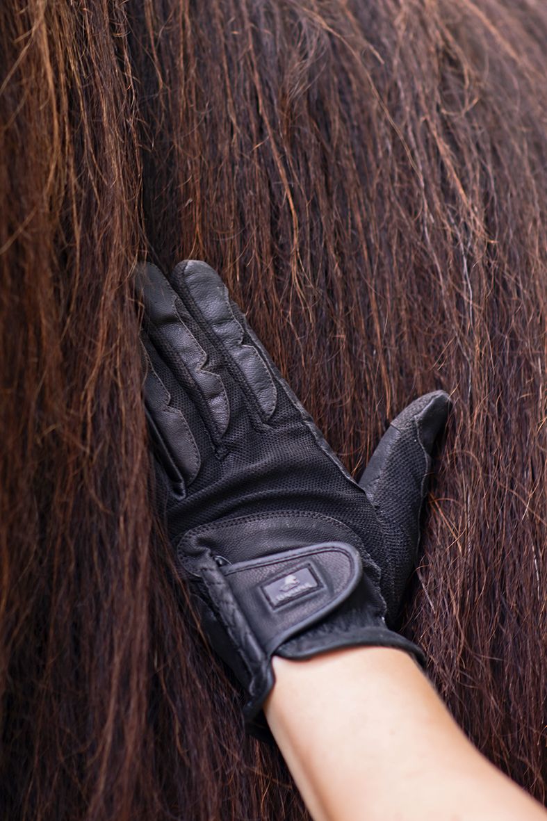 "Varið" - robust leather riding gloves with feeling