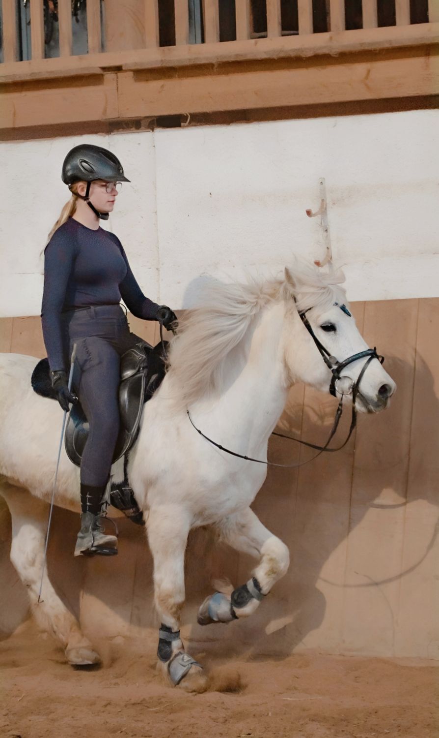 ÁN - Riding leggings/ yoga tights without trim