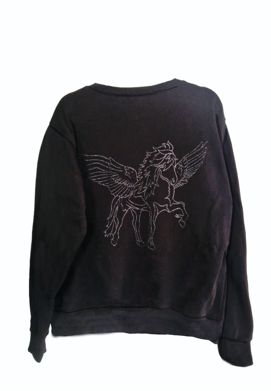 PEGASUS - Pullover Pulli mit Einhorntölter