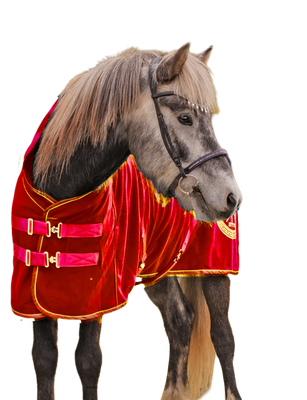 TITAN Baumwolle Abschwitzdecke Highneck TITAN Baumwolle Abschwitzdecke Highneck