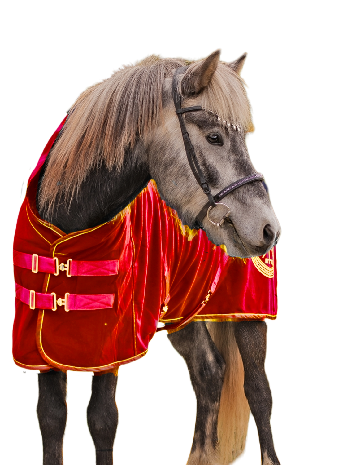 Sweat rug TITAN made from cotton