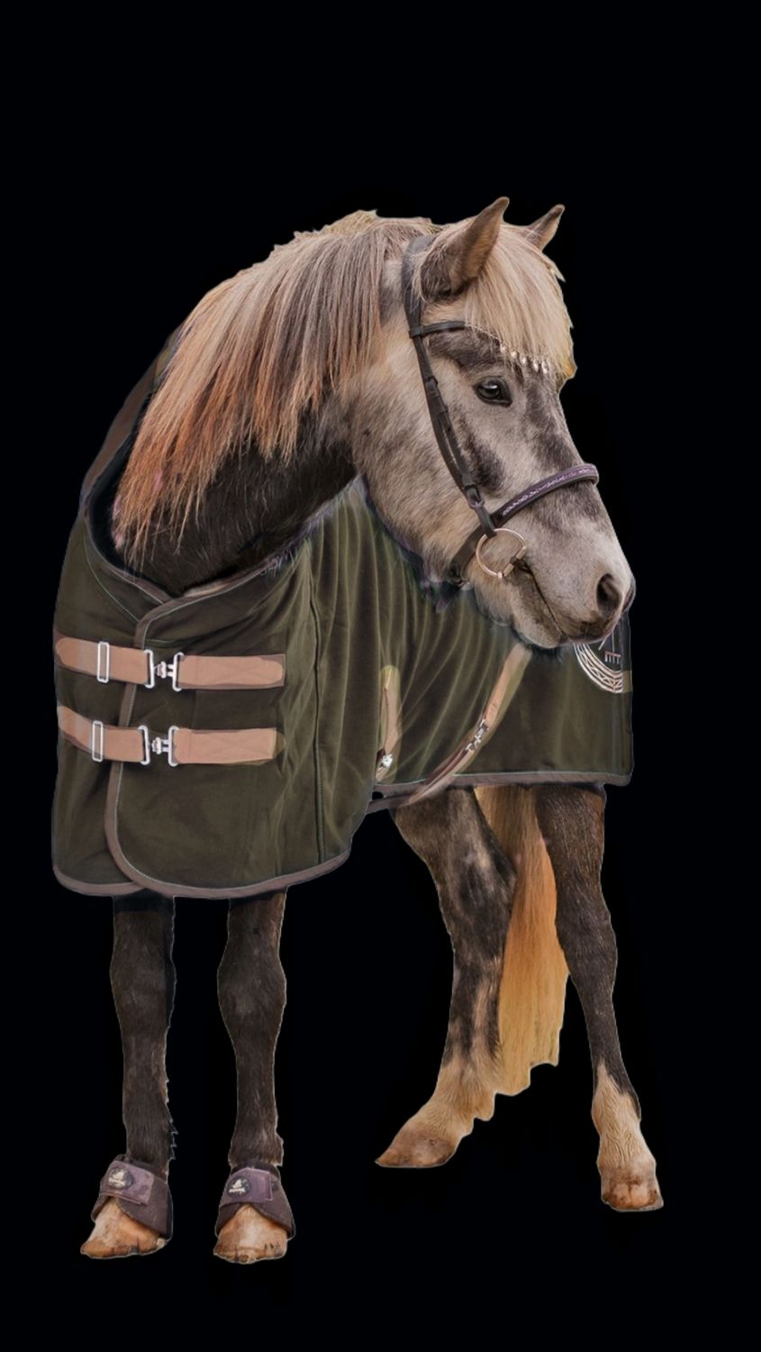 Sweat rug TITAN made from cotton