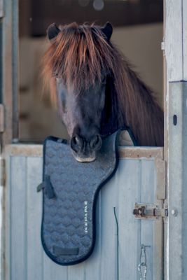 SKÍNA - saddle pad with and without glitter!