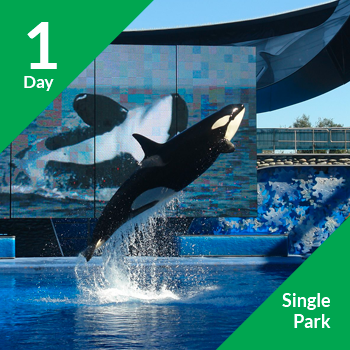 1 Day - Sea World - Youth