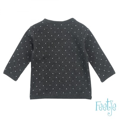 Feetje Longsleeve Mini Person