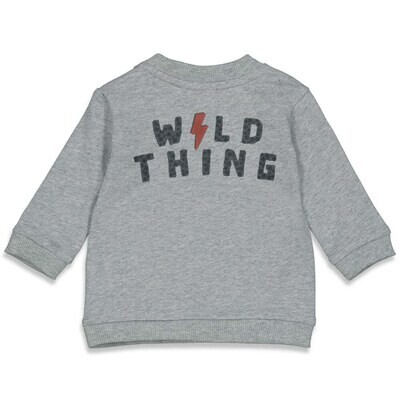 Feetje Trui Wild Thing
