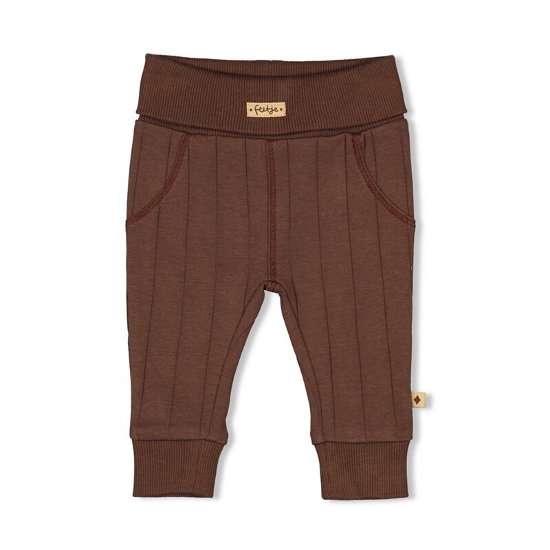 Feetje Broek Tiny Roar