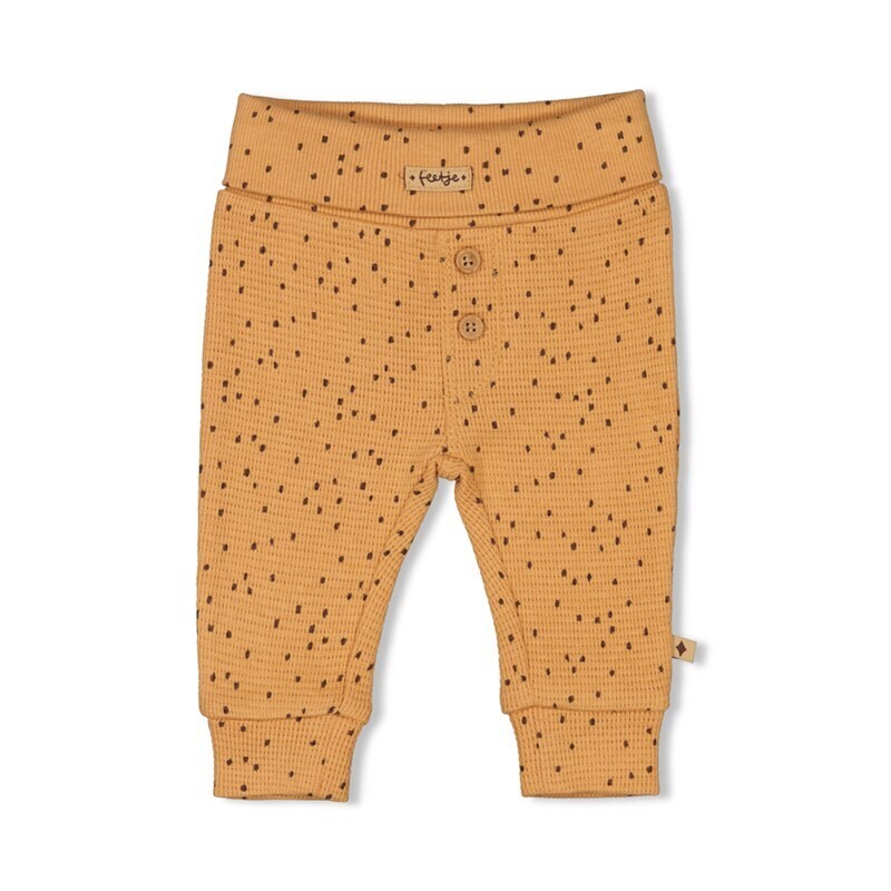 Feetje Broek Tiny Roar