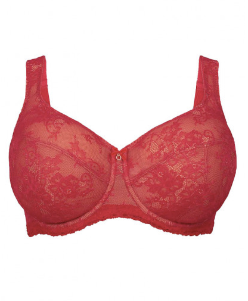 Rosa Faia Big Cup Beha Abby