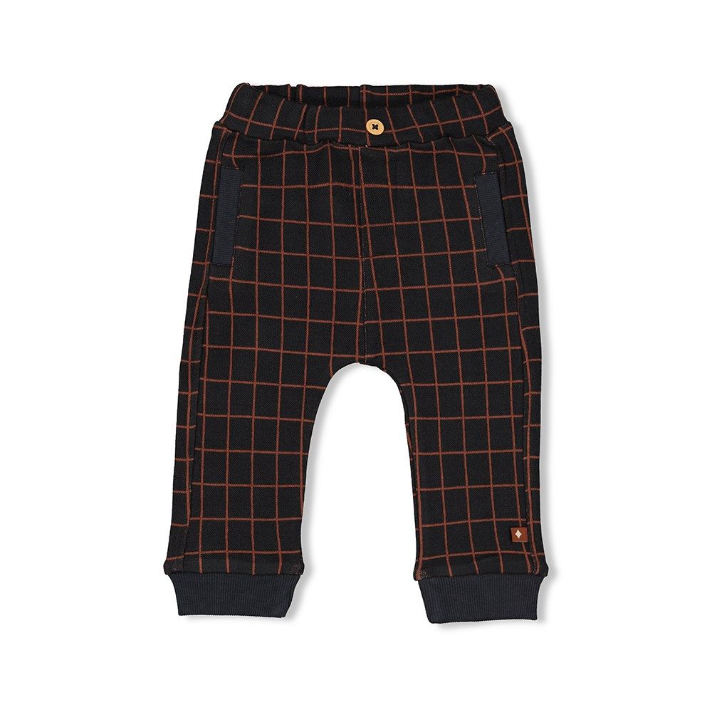 Feetje Broek Ruit Go Fetch