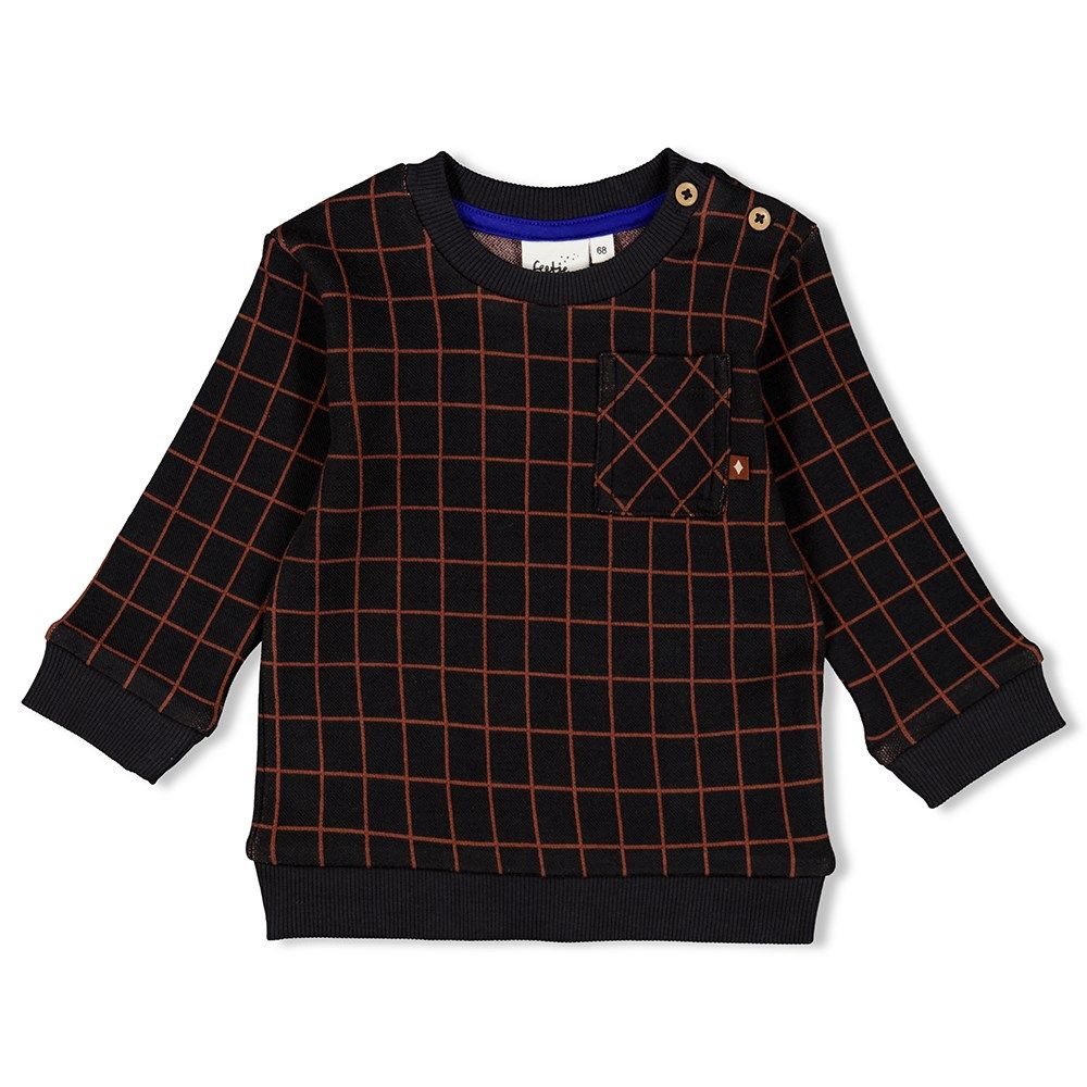Feetje Sweater Ruit Go Fetch
