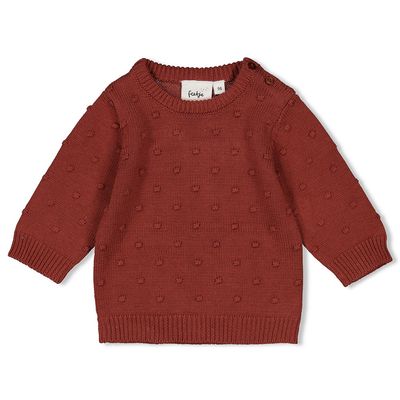 Feetje Sweater Gebreid Grow Your Own Way