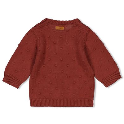 Feetje Sweater Gebreid Grow Your Own Way