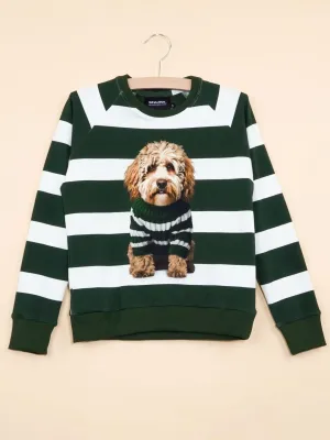Snurk Sweater Labradoodle