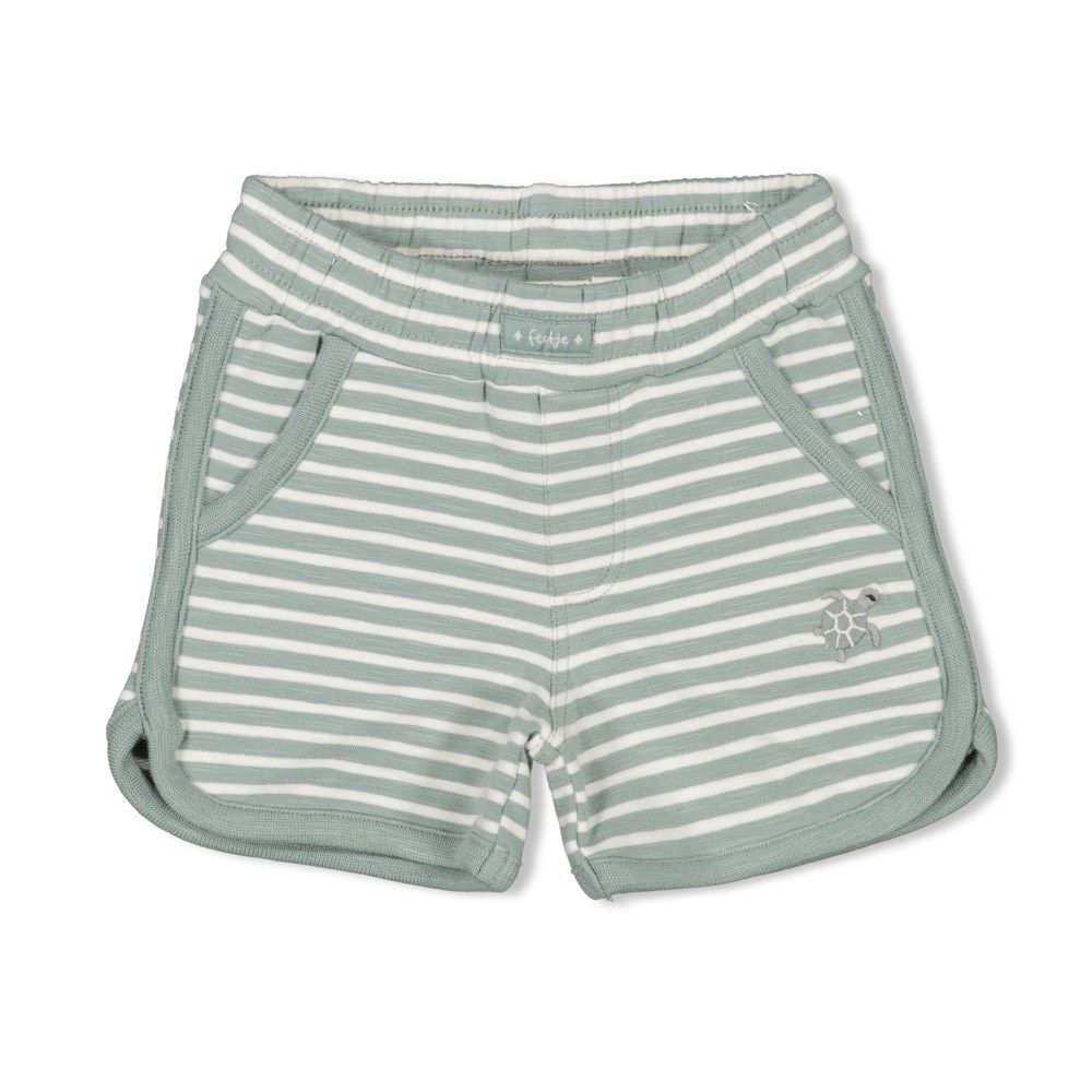 Feetje Short Streep Turtelly Cool