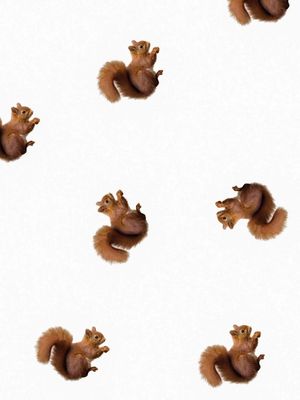 Snurk Broek Regular Squirrels
