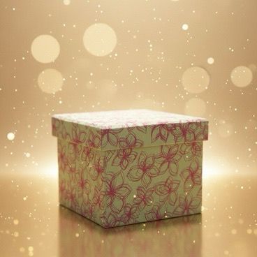 Gávupakki - Tepakkin 🫖