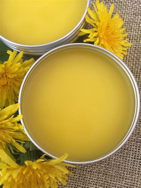 Hagasóljusalva 25 ml.