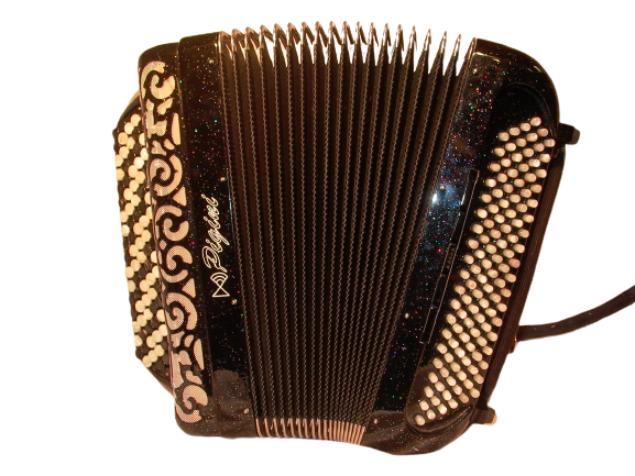 Accordéon Pigini 117 basses Noir