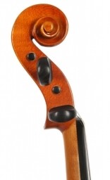 Violon Dvorak - 1/4