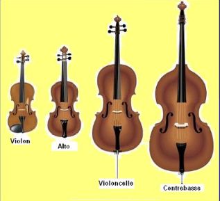 Librairie Quatuor à cordes