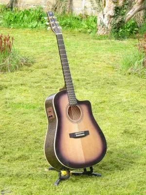 SEAGULL 1996 - Blackburst S6 Serie