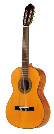 ESTEVE - 3/4 - Cédre massif