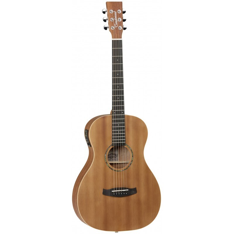 Guitare électro TWR2 PE