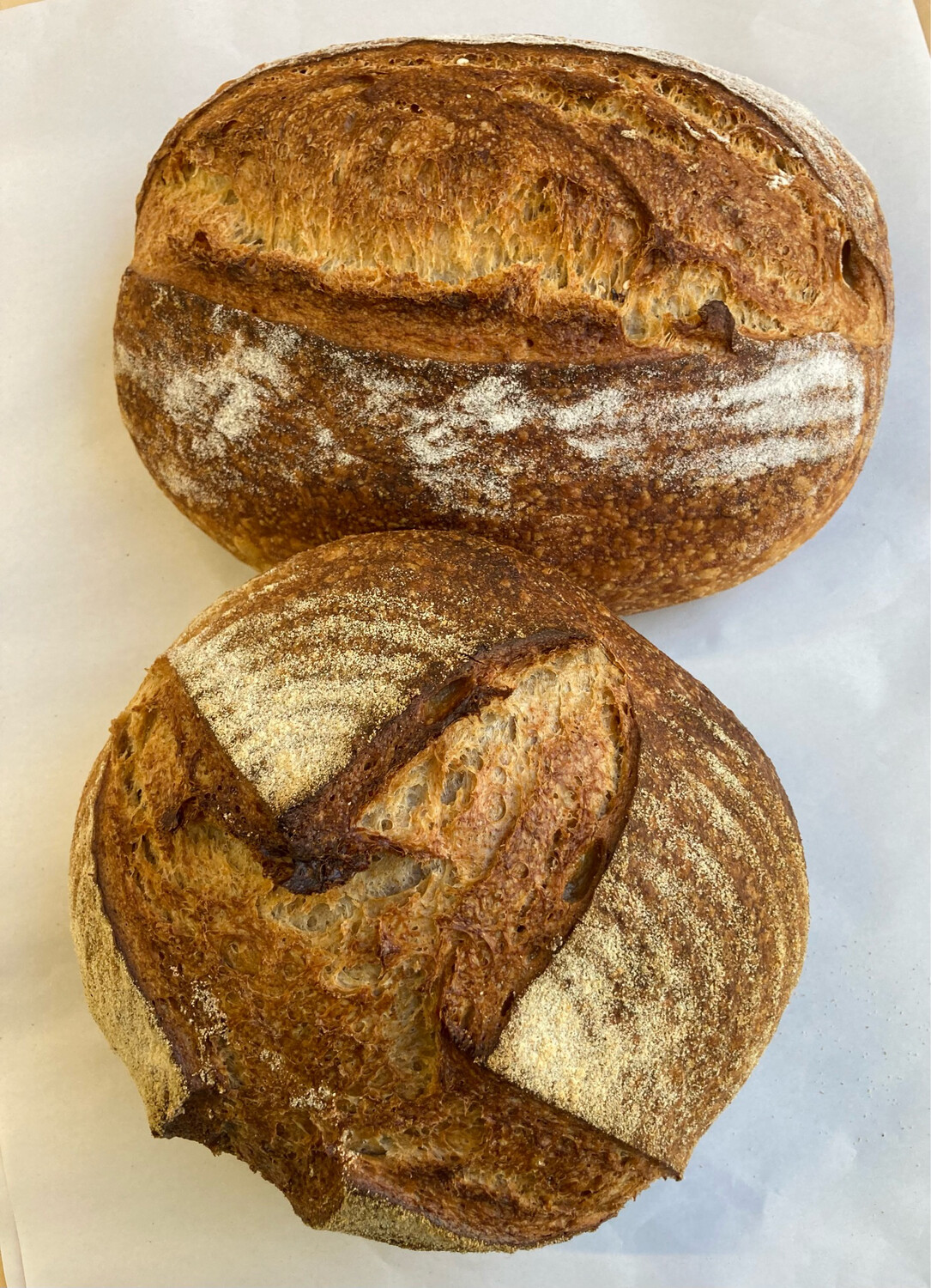 Two Sourdough Loaves