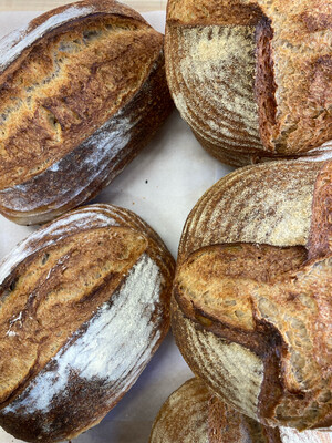 Bread