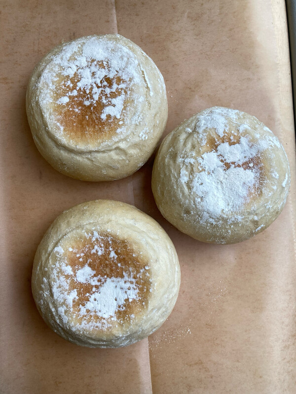 Three Stotties