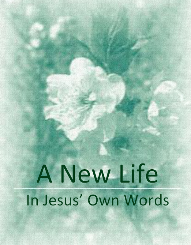 A New Life In Jesus&#39; Own Words