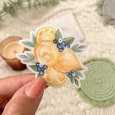 #36 Citrus Berry CLEAR Border Sticker #36 Citrus Berry CLEAR Border Sticker