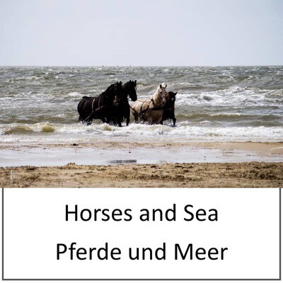 Leinwand - Pferde und Meer