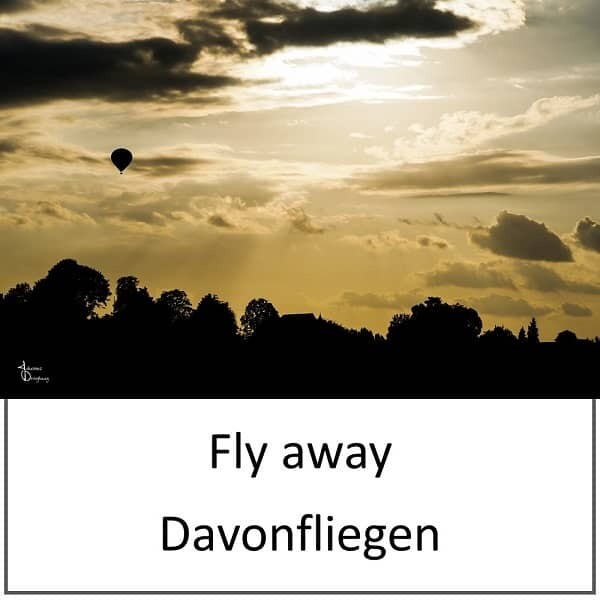 Leinwand - Davonfliegen