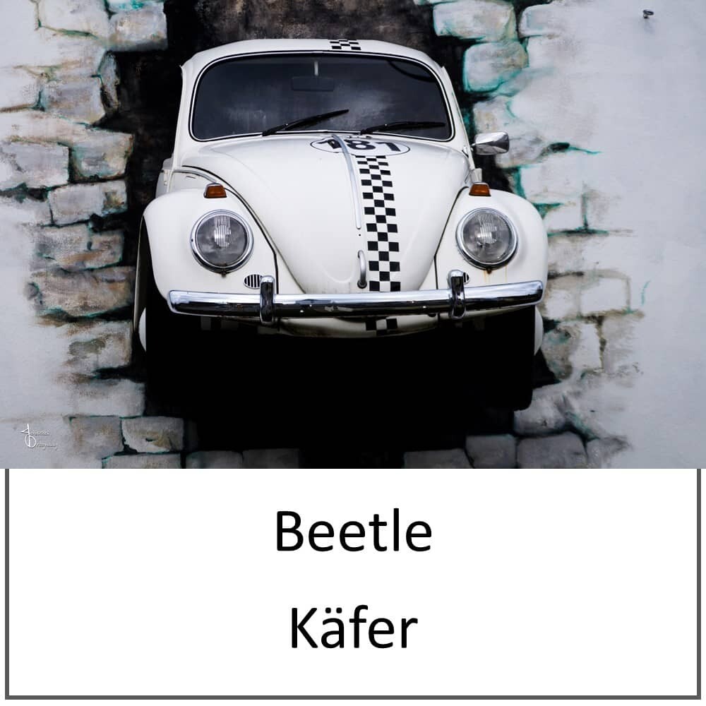 Leinwand - Volkswagen Käfer