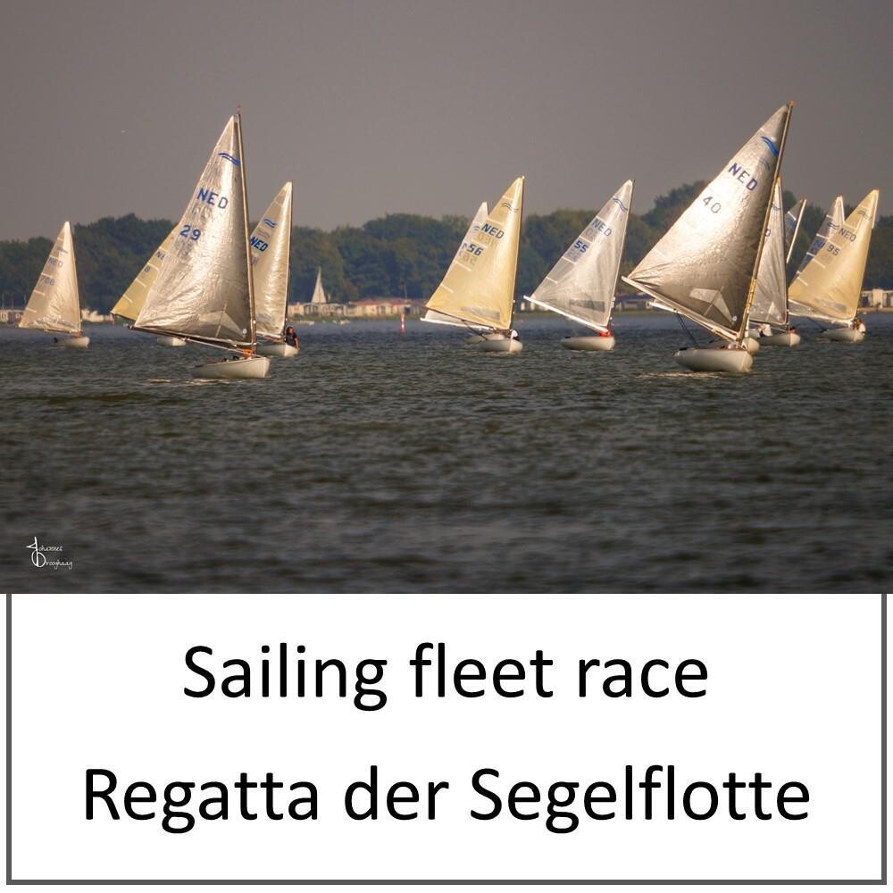 Leinwand - Regatta der Segelflotte