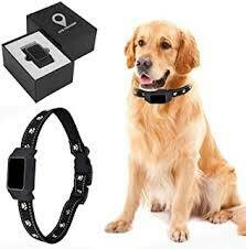 Accessori Gps