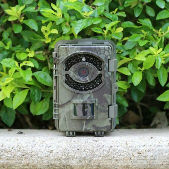 BUSHWACKER FOTOTRAPPOLA BIG EYE D3N (NO MMS)