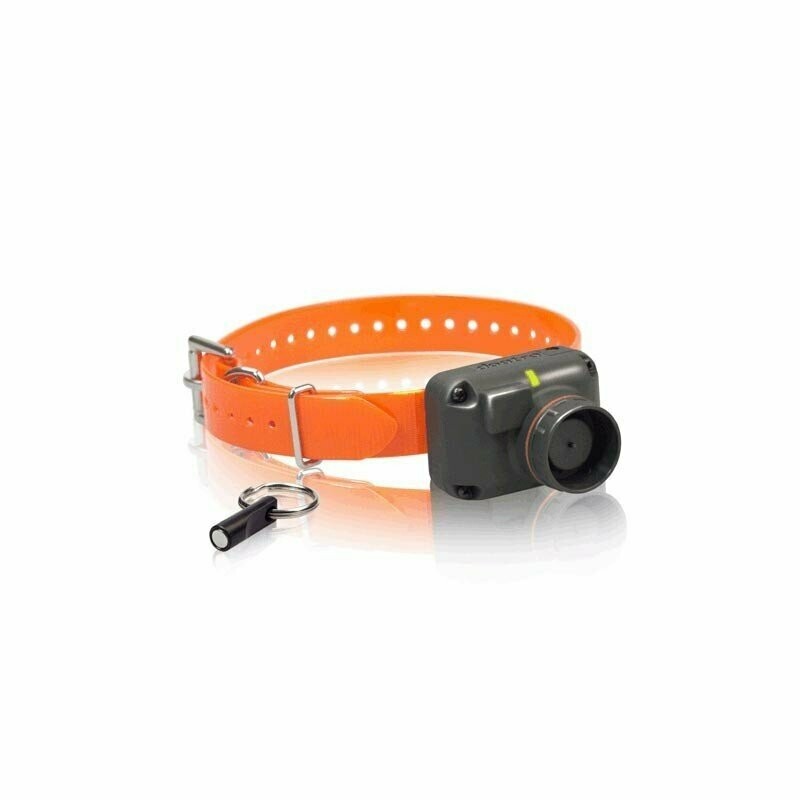 DOGTRA Beeper  STB-Falco - Speciale beccaccia RICARICABILE